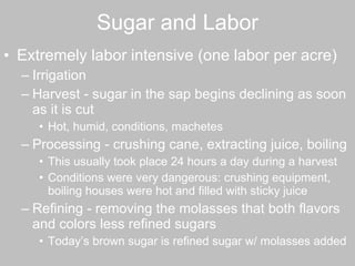 Sugar and Labor Extremely labor intensive (one labor per acre) Irrigation  Harvest - sugar in the sap begins declining as soon as it is cut Hot, humid, conditions, machetes  Processing - crushing cane, extracting juice, boiling  This usually took place 24 hours a day during a harvest Conditions were very dangerous: crushing equipment, boiling houses were hot and filled with sticky juice Refining - removing the molasses that both flavors and colors less refined sugars  Today’s brown sugar is refined sugar w/ molasses added 