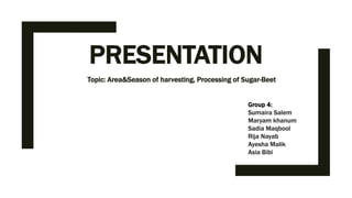 PRESENTATION
Topic: Area&Season of harvesting, Processing of Sugar-Beet
Group 4:
Sumaira Salem
Maryam khanum
Sadia Maqbool
Rija Nayab
Ayesha Malik
Asia Bibi
 