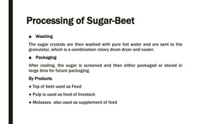 Processing of Sugar-Beet
■ Washing
The sugar crystals are then washed with pure hot water and are sent to the
granulator, which is a combination rotary drum dryer and cooler.
■ Packaging
After cooling, the sugar is screened and then either packaged or stored in
large bins for future packaging.
By Products
● Top of beet used as Feed
● Pulp is used as feed of livestock
● Molasses also used as supplement of feed
 