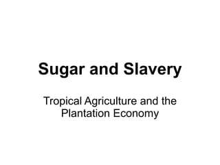 Sugar and Slavery Tropical Agriculture and the Plantation Economy 