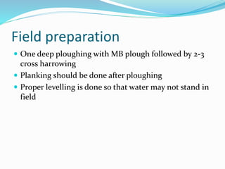 Field preparation
 One deep ploughing with MB plough followed by 2-3
cross harrowing
 Planking should be done after ploughing
 Proper levelling is done so that water may not stand in
field
 
