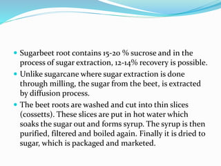  Sugarbeet root contains 15-20 % sucrose and in the
process of sugar extraction, 12-14% recovery is possible.
 Unlike sugarcane where sugar extraction is done
through milling, the sugar from the beet, is extracted
by diffusion process.
 The beet roots are washed and cut into thin slices
(cossetts). These slices are put in hot water which
soaks the sugar out and forms syrup. The syrup is then
purified, filtered and boiled again. Finally it is dried to
sugar, which is packaged and marketed.
 