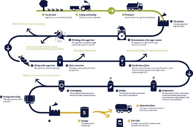 Sugar Beet Production sugar-beet-production