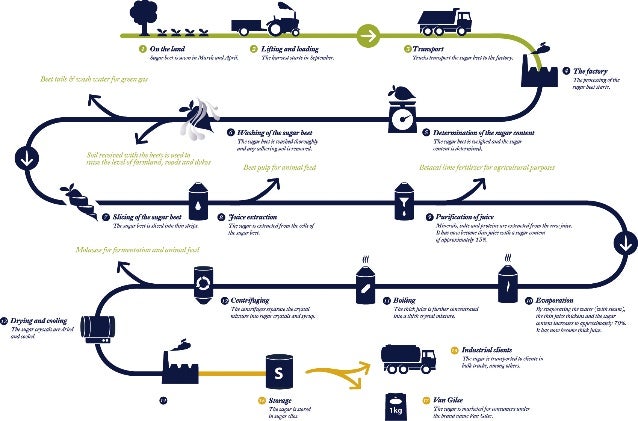 Sugar beet production