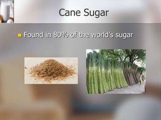 Cane Sugar


Found in 80% of the world’s sugar

 