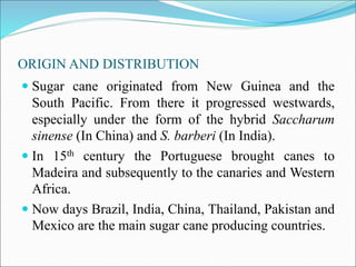 ORIGIN AND DISTRIBUTION
 Sugar cane originated from New Guinea and the
South Pacific. From there it progressed westwards,
especially under the form of the hybrid Saccharum
sinense (In China) and S. barberi (In India).
 In 15th century the Portuguese brought canes to
Madeira and subsequently to the canaries and Western
Africa.
 Now days Brazil, India, China, Thailand, Pakistan and
Mexico are the main sugar cane producing countries.
 