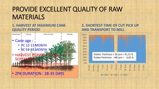 PROVIDE EXCELLENT QUALITY OF RAW
MATERIALS
1. HARVEST AT MAXIMUM CANE
QUALITY PERIOD
• Cane age :
• PC 12-13 MONTH
• RC 11-12 MONTH
• HARVEST PERIOD : JUNE-
SEPTEMBER
• Highest temperature differences
• Longest sunshine
• ZPK DURATION : 28-35 DAYS
2. SHORTEST TIME OF CUT PICK UP
AND TRANSPORT TO MILL
0%
10%
20%
30%
40%
50%
60%
70%
80%
90%
100%
26-Apr
10-May
24-May
7-Jun
21-Jun
5-Jul
19-Jul
2-Aug
16-Aug
30-Aug
13-Sep
27-Sep
11-Oct
<36 J <48 J >48 J
Todate freshness < 36 jam = 91,21 %
Todate freshness <48 jam = 6,65 %
 