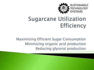 Maximizing Efficient Sugar Consumption
Minimizing organic acid production
Reducing glycerol production
 