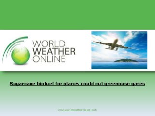 www.worldweatheronline.com
Sugarcane biofuel for planes could cut greenouse gases
 