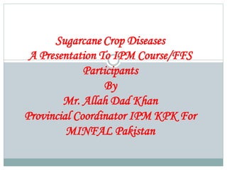Sugar cane crop diseases A Lecture by Mr Allah Dad Khan | PPTX