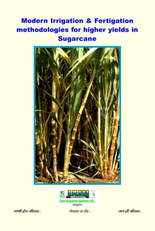 Modern Irrigation & Fertigation
 methodologies for higher yields in
            Sugarcane




                  Provided by Jains.com




                   Jain Irrigation Systems Ltd.,
                             Jalgaon

±bLa ´C™ ÆaÎD..           Water is life..          ÆJ ´a ÆaÎD..
                               ..1..
 