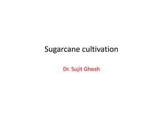 Sugarcane cultivation
Dr. Sujit Ghosh
 