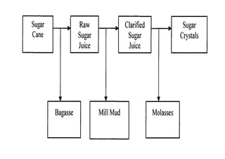 Sugarcane cultivation