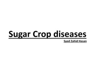 Sugar Crop diseases
Syed Zahid Hasan
 