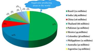 Sugarcane producing
areas in the world
 