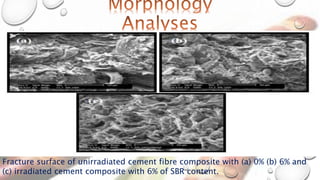 Fracture surface of unirradiated cement fibre composite with (a) 0% (b) 6% and
(c) irradiated cement composite with 6% of SBR content.
 