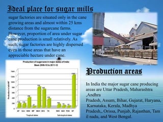 Ideal place for sugar mills
sugar factories are situated only in the cane
growing areas and almost within 25 kms
distance from the sugarcane farms.
However, proportion of area under sugar
cane production is small relatively. As
such, sugar factories are highly dispersed
even in those areas that have an
appreciable hectare under cane.

Production areas
In India the major sugar cane producing
areas are Uttar Pradesh, Maharashtra
,Andhra
Pradesh, Assam, Bihar, Gujarat, Haryana,
Karnataka, Kerala, Madhya
Pradesh,, Orissa, Punjab, Rajasthan, Tam
il nadu, and West Bengal.

 