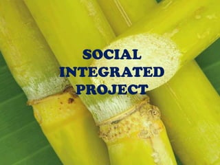 SOCIAL
INTEGRATED
PROJECT

 