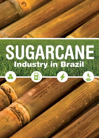 SUGARCANE
Industry in Brazil

 