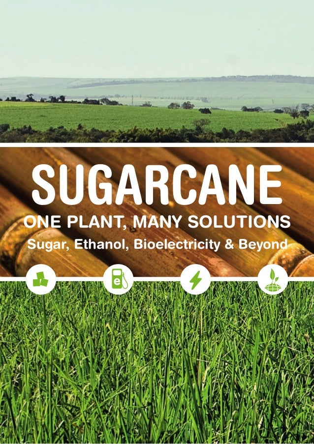 Image result for sugarcane ethanol