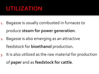 1. Bagasse is usually combusted in furnaces to
produce steam for power generation.
2. Bagasse is also emerging as an attractive
feedstock for bioethanol production.
3. It is also utilized as the raw material for production
of paper and as feedstock for cattle.
 