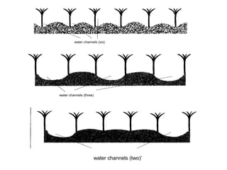‘water channels (three)
water channels (six)
water channels (two)’
 