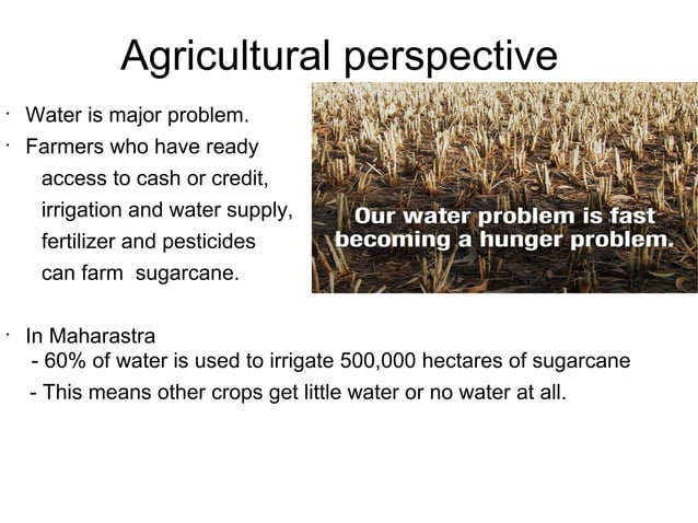 sugarcane-ppt