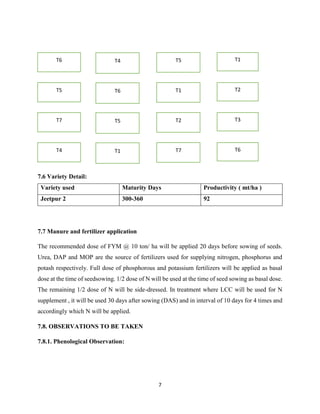 7
7.6 Variety Detail:
Variety used Maturity Days Productivity ( mt/ha )
Jeetpur 2 300-360 92
7.7 Manure and fertilizer application
The recommended dose of FYM @ 10 ton/ ha will be applied 20 days before sowing of seeds.
Urea, DAP and MOP are the source of fertilizers used for supplying nitrogen, phosphorus and
potash respectively. Full dose of phosphorous and potassium fertilizers will be applied as basal
dose at the time of seedsowing. 1/2 dose of N will be used at the time of seed sowing as basal dose.
The remaining 1/2 dose of N will be side-dressed. In treatment where LCC will be used for N
supplement , it will be used 30 days after sowing (DAS) and in interval of 10 days for 4 times and
accordingly which N will be applied.
7.8. OBSERVATIONS TO BE TAKEN
7.8.1. Phenological Observation:
T6 T4 T5 T1
T5 T6 T1 T2
T7 T5 T2 T3
T4 T1 T7 T6
 