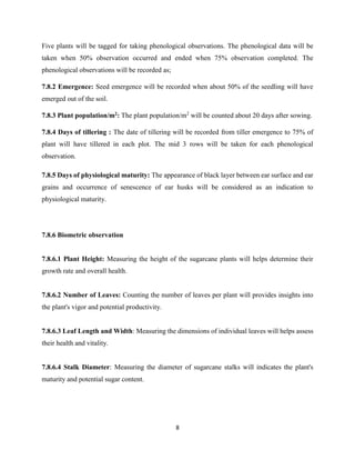 8
Five plants will be tagged for taking phenological observations. The phenological data will be
taken when 50% observation occurred and ended when 75% observation completed. The
phenological observations will be recorded as;
7.8.2 Emergence: Seed emergence will be recorded when about 50% of the seedling will have
emerged out of the soil.
7.8.3 Plant population/m2: The plant population/m2
will be counted about 20 days after sowing.
7.8.4 Days of tillering : The date of tillering will be recorded from tiller emergence to 75% of
plant will have tillered in each plot. The mid 3 rows will be taken for each phenological
observation.
7.8.5 Days of physiological maturity: The appearance of black layer between ear surface and ear
grains and occurrence of senescence of ear husks will be considered as an indication to
physiological maturity.
7.8.6 Biometric observation
7.8.6.1 Plant Height: Measuring the height of the sugarcane plants will helps determine their
growth rate and overall health.
7.8.6.2 Number of Leaves: Counting the number of leaves per plant will provides insights into
the plant's vigor and potential productivity.
7.8.6.3 Leaf Length and Width: Measuring the dimensions of individual leaves will helps assess
their health and vitality.
7.8.6.4 Stalk Diameter: Measuring the diameter of sugarcane stalks will indicates the plant's
maturity and potential sugar content.
 