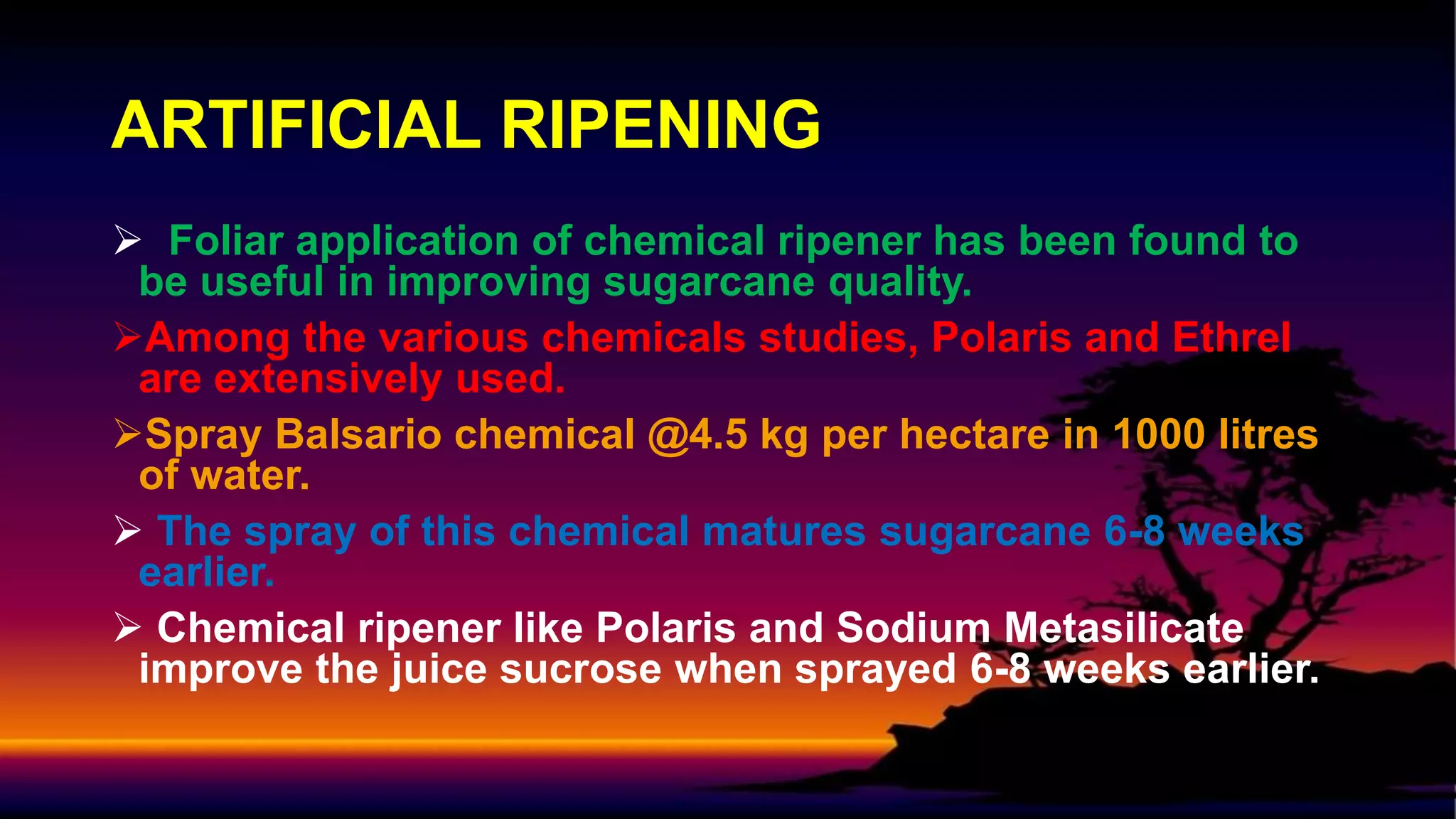 Sugarcane ripener | PPTX