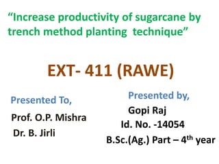 “Increase productivity of sugarcane by
trench method planting technique”
EXT- 411 (RAWE)
Presented To,
Dr. B. Jirli
Prof. O.P. Mishra
Presented by,
Gopi Raj
Id. No. -14054
B.Sc.(Ag.) Part – 4th year
 