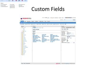 Custom Fields