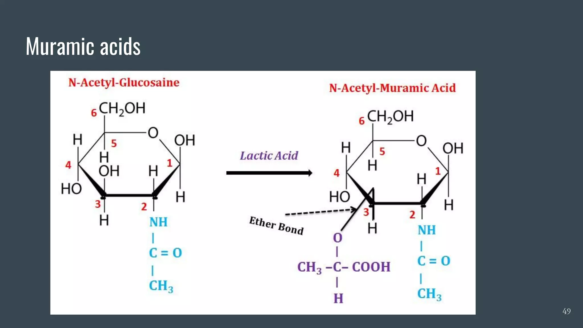 Sugar derivatives and reactions of monosaccharides | PDF