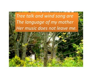 Tree talk and wind song are
The language of my mother
Her music does not leave me.
 