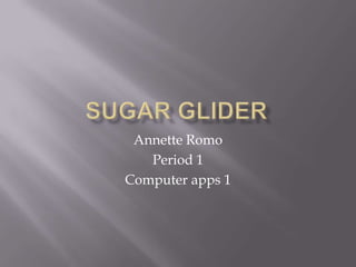 Annette Romo
   Period 1
Computer apps 1
 