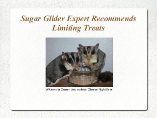 Sugar Glider Expert Recommends
        Limiting Treats




      Wikimedia Commons, author: OberonNightSeer
 