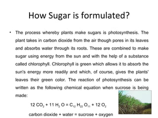 How Sugar is formulated? The process whereby plants make sugars is photosynthesis. The plant takes in carbon dioxide from the air though pores in its leaves and absorbs water through its roots. These are combined to make sugar using energy from the sun and with the help of a substance called chlorophyll. Chlorophyll is green which allows it to absorb the sun's energy more readily and which, of course, gives the plants' leaves their green color. The reaction of photosynthesis can be written as the following chemical equation when sucrose is being made: 12 CO 2  + 11 H 2  O = C 12  H 22  O 11  + 12 O 2   carbon dioxide + water = sucrose + oxygen 