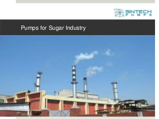 Pumps for Sugar Industry
 