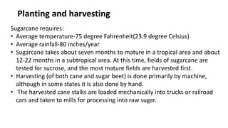 Planting and harvesting
Sugarcane requires:
• Average temperature-75 degree Fahrenheit(23.9 degree Celsius)
• Average rainfall-80 inches/year
• Sugarcane takes about seven months to mature in a tropical area and about
12-22 months in a subtropical area. At this time, fields of sugarcane are
tested for sucrose, and the most mature fields are harvested first.
• Harvesting (of both cane and sugar beet) is done primarily by machine,
although in some states it is also done by hand.
• The harvested cane stalks are loaded mechanically into trucks or railroad
cars and taken to mills for processing into raw sugar.
 