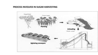 Planting
Unloading
Agitating conveyors
PROCESS INVOLVED IN SUGAR HARVESTING
 