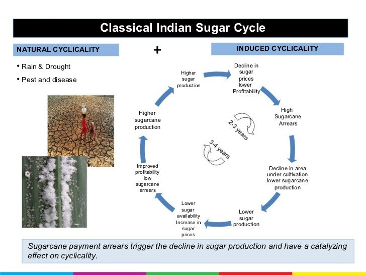 sugar industry of india In india, there are 507 sugar industries, 23 in punjab and only one in phagwara namely wahid sandhar sugars ltd the narang group set up phagwara. sugar industry of india In india, there are 507 sugar industries, 23 in punjab and only one in phagwara namely wahid sandhar sugars ltd the narang group set up phagwara.