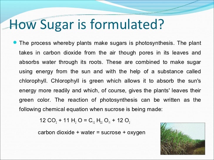 Sugar manufacture dr vijaya shastry