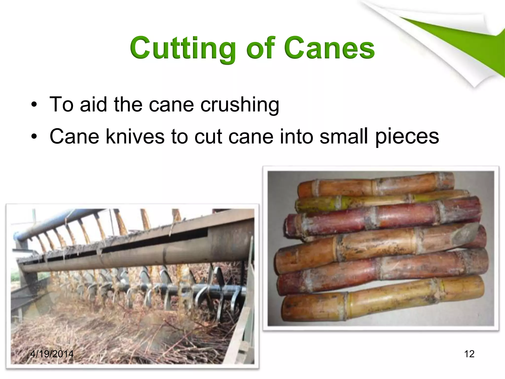 Cutting of Canes
• To aid the cane crushing
• Cane knives to cut cane into small pieces
4/19/2014 12
 