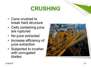CRUSHING
• Cane crushed to
break hard structure
• Cells containing juice
are ruptured
• No juice extracted
• Increase efficiency of
juice extraction
• Subjected to crusher
with corrugated
blades
4/19/2014 16
 