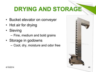 DRYING AND STORAGE
• Bucket elevator on conveyer
• Hot air for drying
• Sieving
– Fine, medium and bold grains
• Storage in godowns
– Cool, dry, moisture and odor free
4/19/2014 48
 