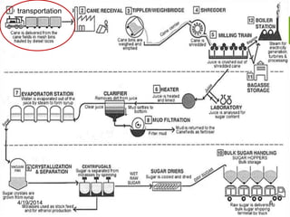 FLOW DIAGRAM
transportation
4/19/2014 6
 