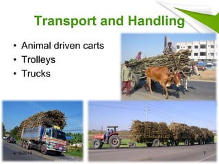 Transport and Handling
• Animal driven carts
• Trolleys
• Trucks
4/19/2014 7
 