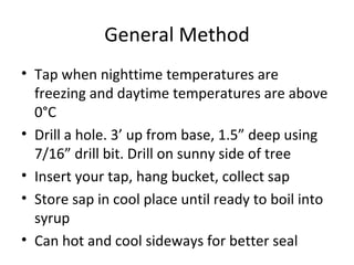 Method Inset Maple Syrup Sugar Maple | PPT