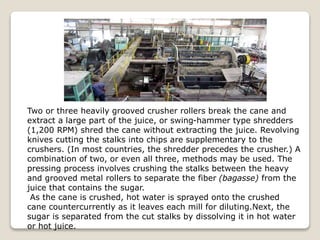 Two or three heavily grooved crusher rollers break the cane and
extract a large part of the juice, or swing-hammer type shredders
(1,200 RPM) shred the cane without extracting the juice. Revolving
knives cutting the stalks into chips are supplementary to the
crushers. (In most countries, the shredder precedes the crusher.) A
combination of two, or even all three, methods may be used. The
pressing process involves crushing the stalks between the heavy
and grooved metal rollers to separate the fiber (bagasse) from the
juice that contains the sugar.
As the cane is crushed, hot water is sprayed onto the crushed
cane countercurrently as it leaves each mill for diluting.Next, the
sugar is separated from the cut stalks by dissolving it in hot water
or hot juice.
 
