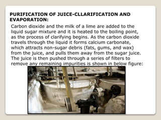 PURIFICATION OF JUICE-CLLARIFICATION AND
EVAPORATION:
Carbon dioxide and the milk of a lime are added to the
liquid sugar mixture and it is heated to the boiling point,
as the process of clarifying begins. As the carbon dioxide
travels through the liquid it forms calcium carbonate,
which attracts non-sugar debris (fats, gums, and wax)
from the juice, and pulls them away from the sugar juice.
The juice is then pushed through a series of filters to
remove any remaining impurities is shown in below figure:
 